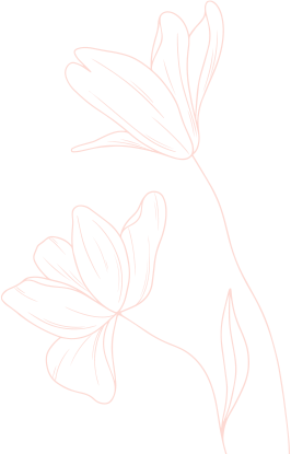 Twin Flames | Josephine Celeste | Soul Doctor, healer, pyschic